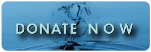 Donate to Wholly H2o